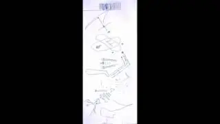 Graphic Notations