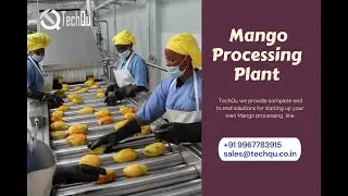 Mango Processing Plant | Mango Juice Processing Plant | Mango Sorting Line |