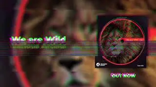 Ederprox - North Paradise - We are Wild (V.A)