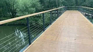 В поисках бобров. Relaxing 3D sound video in search of beavers virtual walk