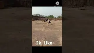 Round of back handspring flip Raj fliper
