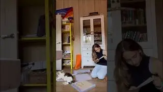 что-то на милом #blogger #рекомендации #fypシ #pets #cat