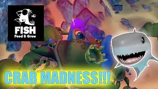 Defeating the KING CRAB in Crab Madness!!! | Feed and Grow Fish
