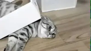 It's Monday