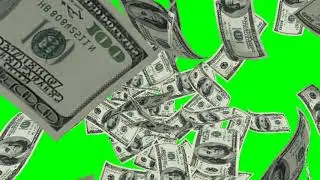 US Dollars Green Screen