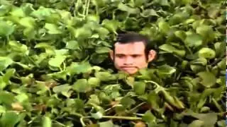 Ace Ventura When Nature Calls1995  Movie Trailer