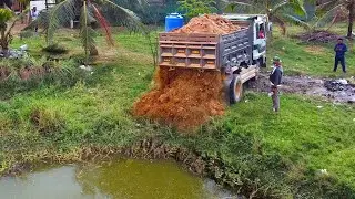 First Start New PROJECT!! Filling Land Delete POND in Flooded Area Use Strong Dozer & 5Ton Truck.