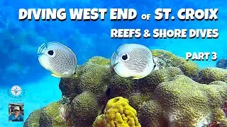 St. Croix Diving - West End - Reefs & Shore Dives