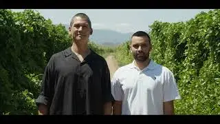 Greek Farms | Discover the Taste of Northern Greece: Kato Nevrokopi & Prespes PGI Beans