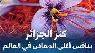 الذهب الأحمر ..كنز الجزائر من بسكرة مع رونق خنفر