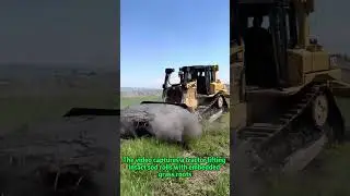 Agricultural Tech: Turf Harvesting & Soil Conservation Methods | Eco-Farming Innovations