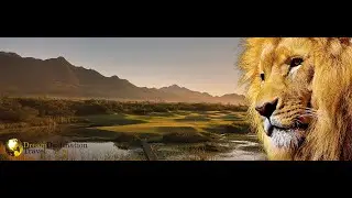 South Africa Golf, Wine & Safari