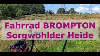 Fahrrad BROMPTON Sorgwohlder Heide 15 km 🚲 #fahrrad #bicycle #brompton #heide #heather