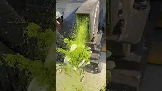 Forage beater pellet machine Weilong brand.#cuttingmachine #cutter #viralshorts #viralvideo #tools
