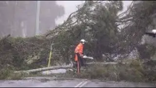 Relentless NSW rain brings flooding, disruptions, and Sydney&rsquo;s wettest August