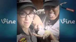 Ultimate Best Prank & Smack Cam Vine Compilation Ever 2014