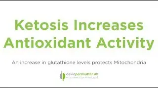 Ketosis Increases Antioxidant Activity