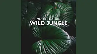 Nature Sounds to Wind Down