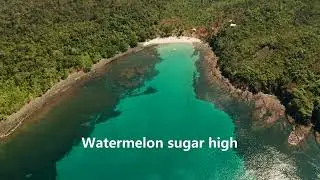 Cale, Britt - Watermelon Sugar Lyrics