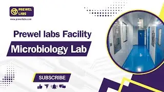 Cutting-Edge Microbiology Lab Tour: Explore Prewel Labs Microbiology Testing