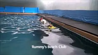 14 yo White German Shepherd Dog swim races with Mr. Stubbie and wants to win so BAD!!