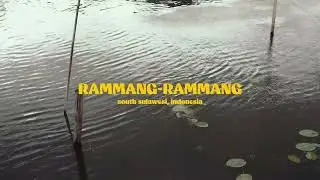 Once upon a time in Rammang Rammang | Travel Video