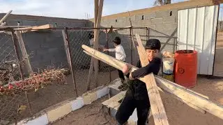 الجزء الاول من هدم شبك الوز ونقله 💪🤕