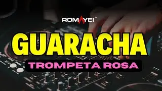 Trompeta Rosa 🌸🎺 Romayei | Guaracha Electr&oacute;nica 2025 🔥