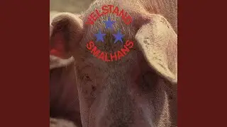 Me g&aring;r forbi