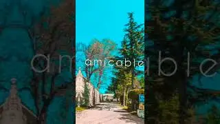 MILITARY COLLEGE MURRE | #mcm #shorts #militarycollegemurree