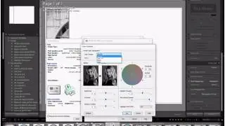 Mono test strip printing in Lightroom