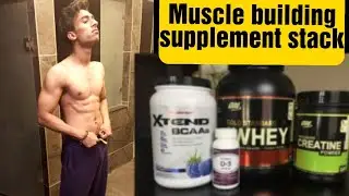 My best muscle building supplement stack for beginners muscle building stack