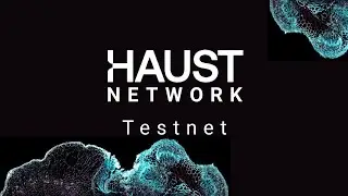 Haust Network Testnet Guide || Haust Testnet V2 || Potential Airdrop #hausttestnet