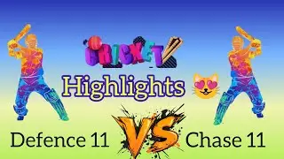 Great Bowling Opposite Team | We los the Series | defence 11 cricket team 