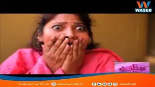 | Wasebpk | 