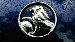 Holden 'went woke and then broke' with your money