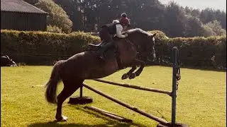Grid work & jumping fun!