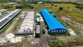 Modern Steel Structure Broiler Floor Breeding Houses Building &ndash; EJOY Project in South America