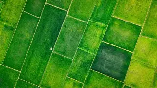 2 Hours of Patchwork Rice Fields from Above | Aerial View & Calming Music