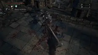 Platinado Bloodborne parte 2: Bestia Sangrienta y mas