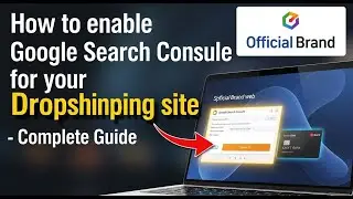 How to enable Google Search Console for your dropshipping site - Complete Guide