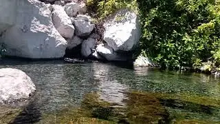 Colima los amiales