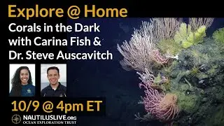 Explore @ Home: Corals in the Darkness with Carina Fish and Dr. Steve Auscavitch