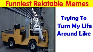 50 Funny Posts That Show Humanity Shares One Collective Brain Cell