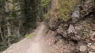 Following Shawn Neer on Stage 1