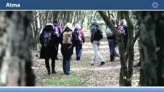 Wandelcoaching