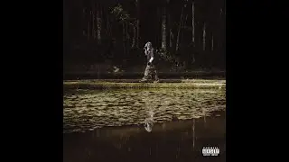 Stef - UM BRINDE [Visualizer]
