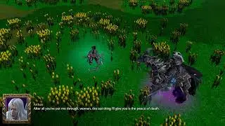 Arthas KIlls Sylvanas