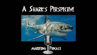 #247 &ndash; Advice from the Digital Strategy Guru on Launching an Online Business