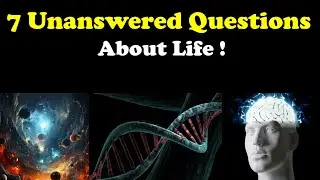 7 Unanswered Questions About Life